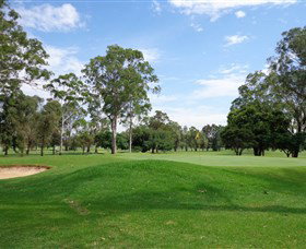 Singleton Golf Club - New South Wales Tourism  0