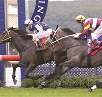 Gosford Race Club - New South Wales Tourism 