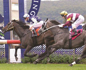 Gosford Race Club - New South Wales Tourism  0