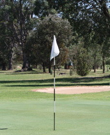 Inverell Golf Club - New South Wales Tourism  1