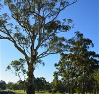 Ryde-Parramatta Golf Club - New South Wales Tourism 