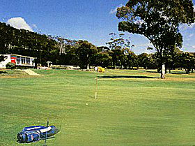 Bicheno TAS New South Wales Tourism 