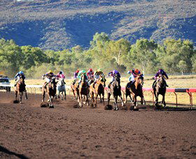 Alice Springs Turf Club - New South Wales Tourism  6