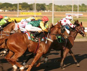 Darwin Turf Club - New South Wales Tourism  1