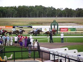 Pinjarra Race Club - New South Wales Tourism  0