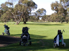 Minlaton Golf Club - New South Wales Tourism  3