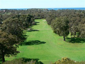 Victor Harbor SA New South Wales Tourism 