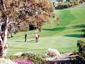 Victor Harbor Golf Club - New South Wales Tourism  1