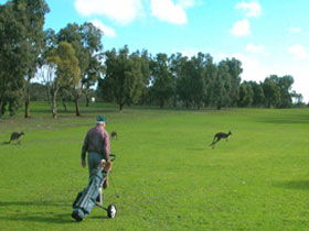 Coffin Bay Golf Club - New South Wales Tourism  0