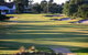 Huntingdale Golf Club - thumb 3