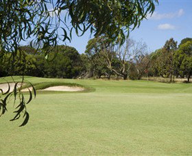 Curlewis Golf Club - New South Wales Tourism  0