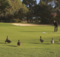 Royal Hobart Golf Club - New South Wales Tourism 