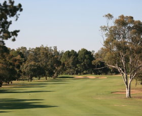 Tocumwal Golf Club - New South Wales Tourism  1