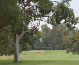 Tocumwal Golf Club - New South Wales Tourism  2