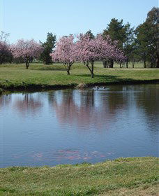 RMC Golf Club - New South Wales Tourism  0