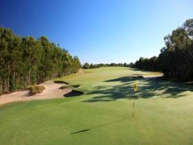 Pelican Waters QLD New South Wales Tourism 