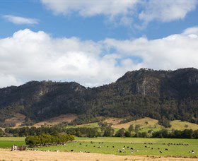 Barrington Tops NSW New South Wales Tourism 