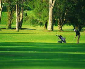 Foster Golf Club - New South Wales Tourism  0