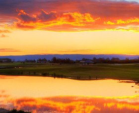 Lynwood Country Club - New South Wales Tourism  3