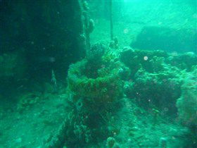 Wallaroo Scuba Club - New South Wales Tourism  0