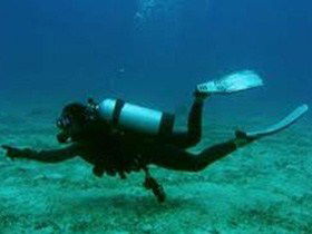 Wallaroo Scuba Club - New South Wales Tourism  1