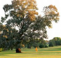 Cowra Golf Club - New South Wales Tourism 