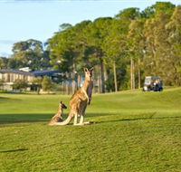 Sanctuary Cove Golf and Country Club - New South Wales Tourism 