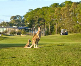 Sanctuary Cove Golf And Country Club - New South Wales Tourism  0