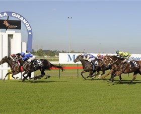 Kembla Grange Racecourse - Illawarra Turf Club - New South Wales Tourism  0