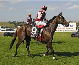 Kembla Grange Racecourse - Illawarra Turf Club - New South Wales Tourism  2
