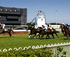 Kembla Grange Racecourse - Illawarra Turf Club - New South Wales Tourism  1