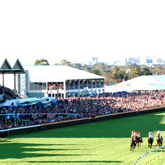 South Australian Jockey Club - New South Wales Tourism  0