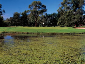Riverside Golf Club Ltd - New South Wales Tourism  0