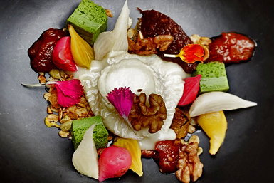 South Yarra VIC New South Wales Tourism 