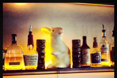 Hairy Canary - New South Wales Tourism  0