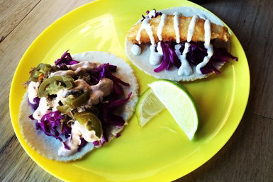 Hello Jose - New South Wales Tourism  0