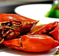 Newquay International Buffet - New South Wales Tourism 