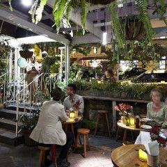 Downtown At The Commons - New South Wales Tourism  0