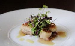 Bridgeview Hotel - New South Wales Tourism  0