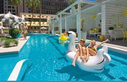 Pool Club - New South Wales Tourism  0