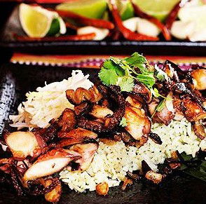 Agave Restaurante Mexicano - New South Wales Tourism  4