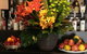 Beppi's Ristorante - thumb 1