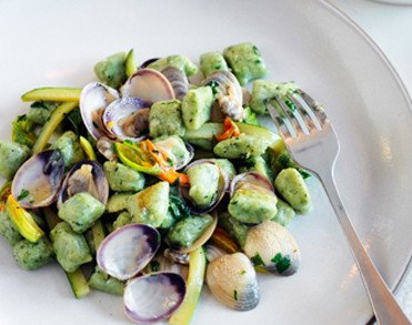 Uccello - New South Wales Tourism  4