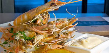 Garfish - New South Wales Tourism  5