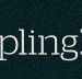 Dumpling Republic - New South Wales Tourism 