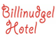 Billinudgel Hotel - New South Wales Tourism 