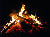 Corroboree Park Tavern - New South Wales Tourism  3