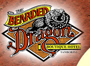 Tamborine Entertainment Venues New South Wales Tourism New South Wales Tourism