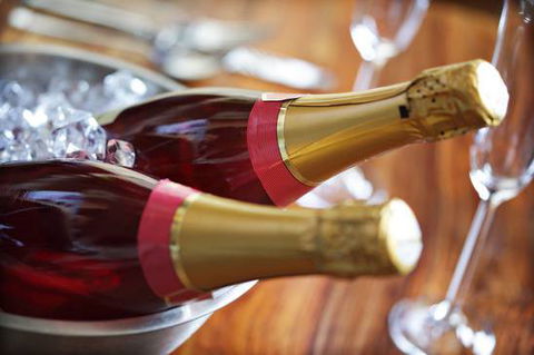 Whitebridge Cellars - New South Wales Tourism  4