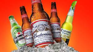 Figtree Cellars - New South Wales Tourism  4